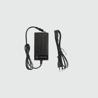 Fiido M1 Pro / G-Booster Charger (54.6V) - Inner City Scooters - Charger ireland