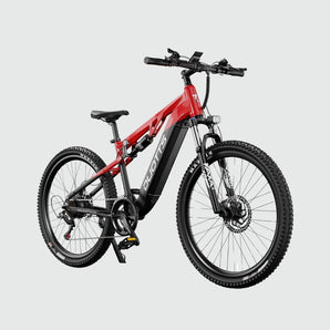 DUOTTS E29 Electric Mountain Bike - Inner City Scooters - Electric Bikes ireland