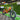 Eahora Juliet Cargo E-Bike - Inner City Scooters - Electric Bikes ireland