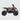 EBOX ACDC Kid's Electric Quad/ATV - Inner City Scooters - Electric ATV ireland