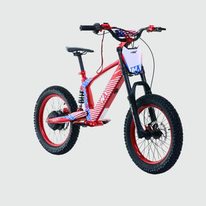 e - BRO 18 Kid's Electric Bike - Inner City Scooters - Electric Bikes ireland