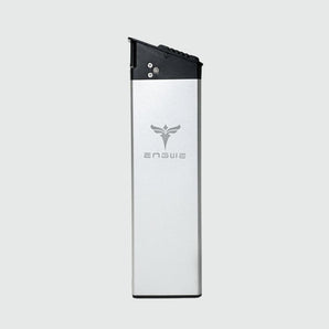 Engwe EP 2 Pro Replacement Battery 48V 16Ah - Inner City Scooters - Battery ireland