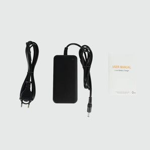 FIIDO D2S,D4S,D11,D21 Charger 42V - Inner City Scooters - Charger ireland