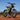 Surron Light Bee X Off Road 2025 Model - Inner City Scooters - Electric Bikes ireland