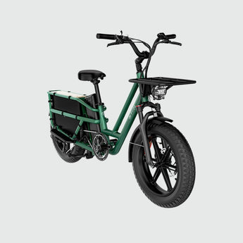 Fiido T2 Longtail Cargo E - Bike - Inner City Scooters - Electric Bikes ireland
