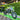 EBox V3 72R Offroad Dirt Bike