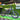 Talaria Sting Pro MX5 Off Road Dirt Bike