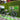 Amped A20 Balance Bike - Inner City Scooters - Electric Bikes ireland