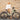 Fiido C700 City E - Bike - Inner City Scooters - Electric Bikes ireland
