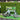 Fiido D11 Folding E-bike - Inner City Scooters - Electric Bikes ireland