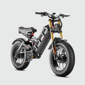 Eahora Romeo II Cargo E-Bike - Inner City Scooters - Electric Bikes ireland
