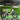 Engwe L20 3.0 Boost - Inner City Scooters - Electric Bikes ireland