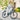 Fiido C11 Pro - Inner City Scooters - Electric Bikes ireland