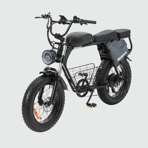 Hidoes B9 Dual Battery Electric Bike