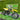 Surron Hyper Bee Dirt Bike- 8KW 2026 Version - Inner City Scooters - Electric Bikes ireland