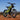 Surron Light Bee X Off Road 2025