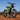 New 2025 Surron Light Bee X - €5000 | Pre-Order Now!