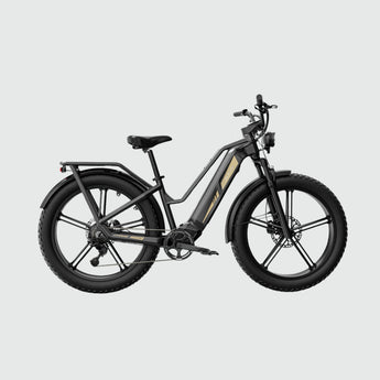 Fiido Titan Fat Tire Touring E - Bike - Inner City Scooters - Electric Bikes ireland