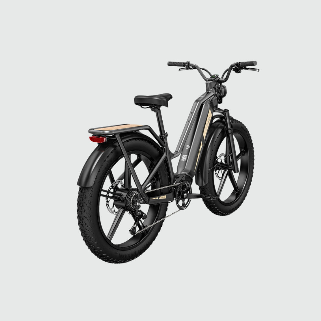 Vélo électrique de tourisme Fiido Titan Fat Tire Titan 2025